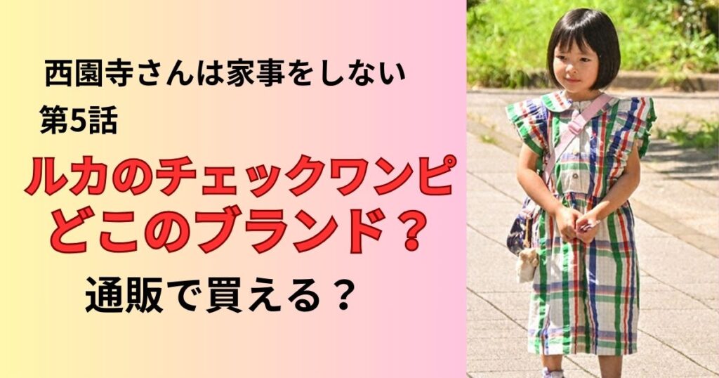 西園寺さんルカのワンピースブランド
